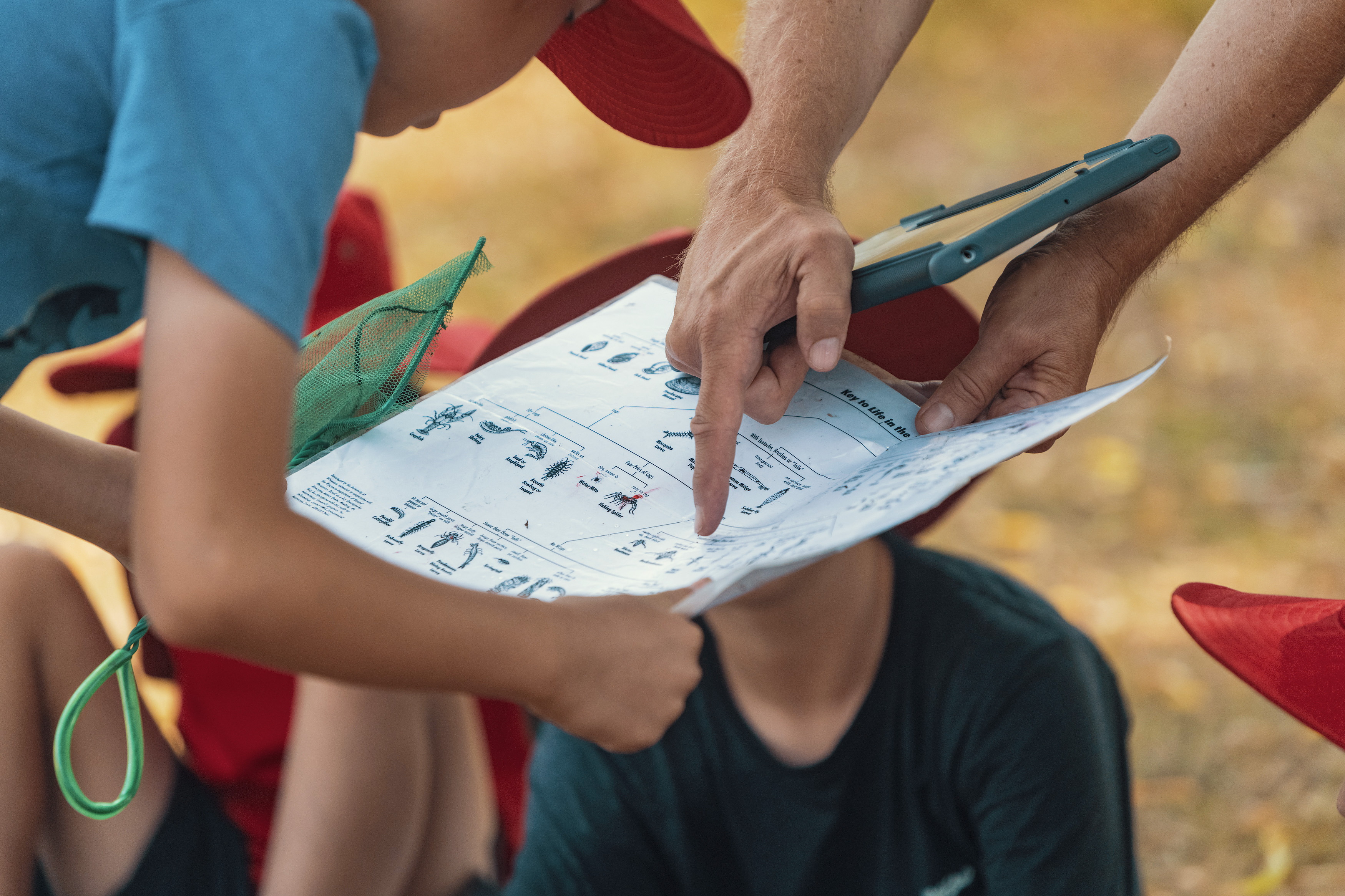 The Outdoor Education Group Job Outdoor Educator Camps